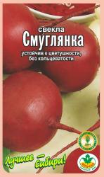 свёкла СМУГЛЯНКА / АГРО САД / НОВИНКА !!!